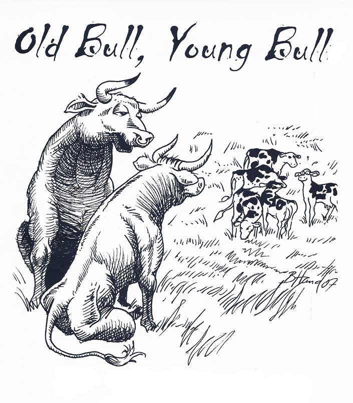 Old Bull and Young Bull. « Shikukai Wado Ryu Karate in Essex.